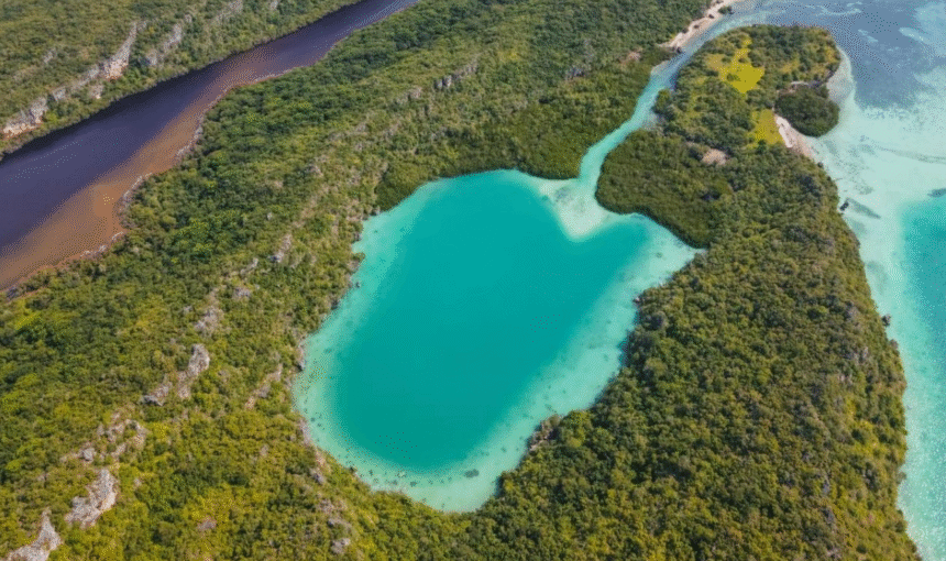 4 Facts About Rote Island